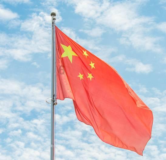 植物大战僵尸17